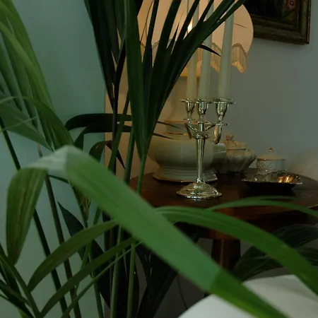 Hotel Gradara 3*